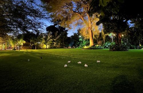 Moshi House | Tulivu Kilimanjaro Retreat