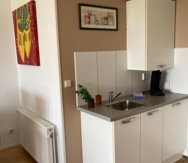 De Zilk House | Tulpenzicht