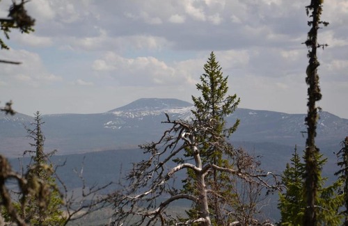 Tyulyuk House | Турбаза Большая медведица