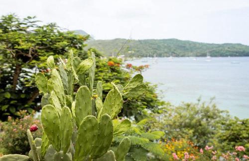 Les Anses-d'Arlets Villa | Turtle Rock 7 chambres