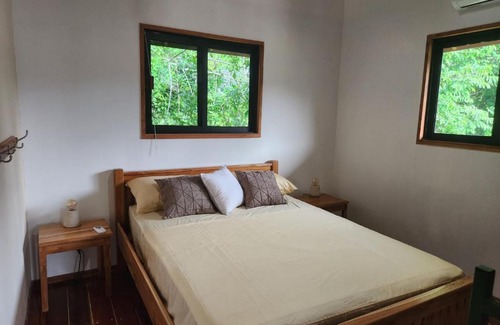Bullet Tree Falls House | Turtle Suite