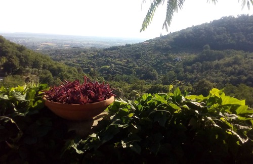 Montevettolini House | Tuscany Sun: Typical Tuscan stone farmhouse with private infinity pool