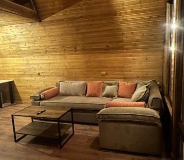 Kazbegi Ski Chalet | Tuyo cottages Gudauri