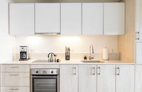 West Fens Apartment | Two-Bed, Two-Bath Apartment In the Fenway District