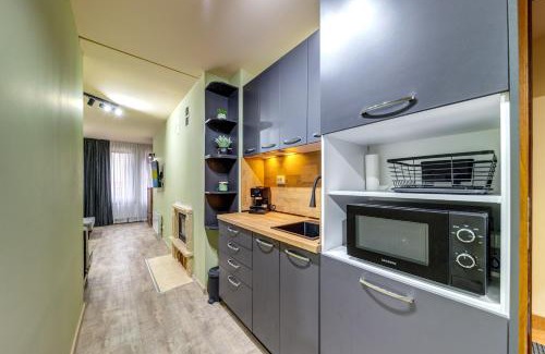 Pamporovo Apartment | Two Cozy Mint Studios in Grand Resort Pamporovo by Flat Manager