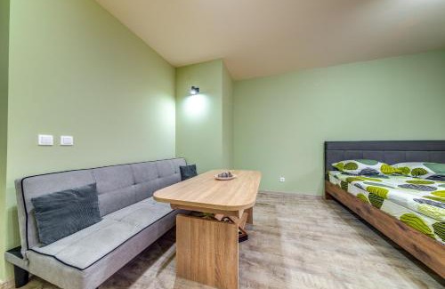 Pamporovo Apartment | Two Cozy Mint Studios in Grand Resort Pamporovo by Flat Manager