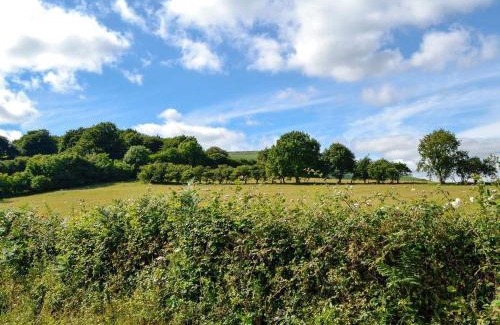 Llanvair Kilgeddin House | Ty-Gwyn