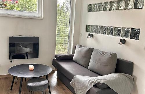 Nove Mesto pod Smrkem Apartment | U Singlu