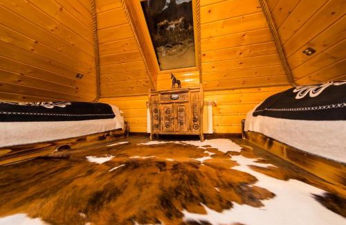 Wisla House | U Tadka dom z jacuzzi na zielonej