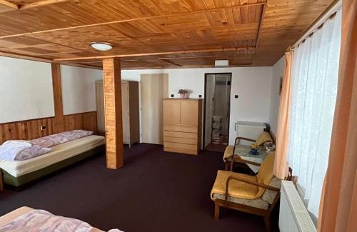 Vrchlabi House | Ubytování 113