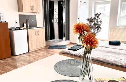 Cirkvice Apartment | Ubytování na venkově Církvice