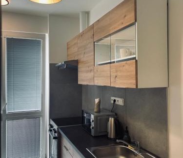 Usti nad Labem House | Ubytování Stará
