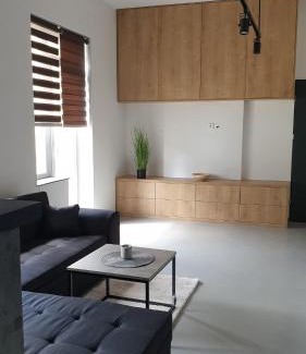 Vitkov Apartment | UbytovaniRadost