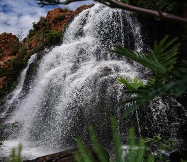 Dullstroom Apartment | Uitvlugt Ponds