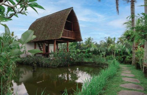 Taro Villa | Umadesa Villa Tegallalang Ubud