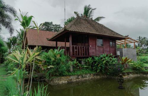 Taro Villa | Umadesa Villa Tegallalang Ubud