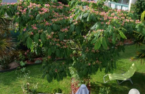 Guerande Bed & Breakfast | un oasis de quiétude belle chambre 22m2