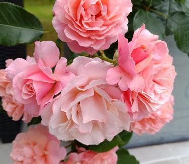 Guerande Bed & Breakfast | un oasis de quiétude belle chambre 22m2