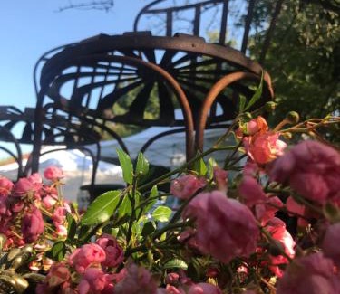 Saint-Parres-aux-Tertres Bed & Breakfast | Un Verger dans la Ville