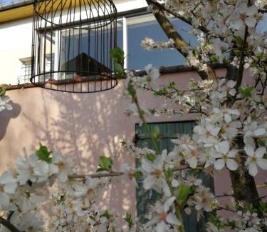 Saint-Parres-aux-Tertres Bed & Breakfast | Un Verger dans la Ville