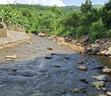 Luong Son Other | Undertree Life Villa