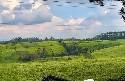 Central Business District Cabin | Unique 3-bedroom Tea cabin with WiFi in Nairobi