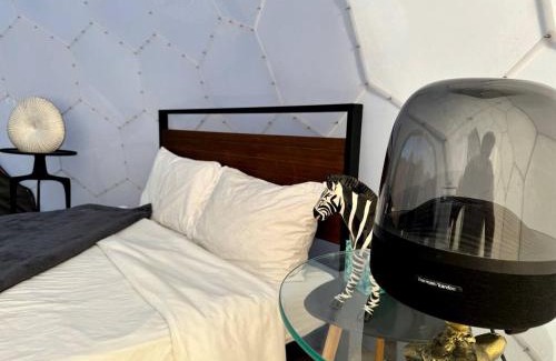 Terlingua Other | Unique and Pet Friendly Glamping Dome with Views of Big Bend National Park, Perfect for a Texas Glamping Getaway