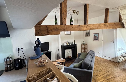 Old Town Apartment | Unique apartment in the historic heart of Troyes - Ruelle des chats/rue Champeaux