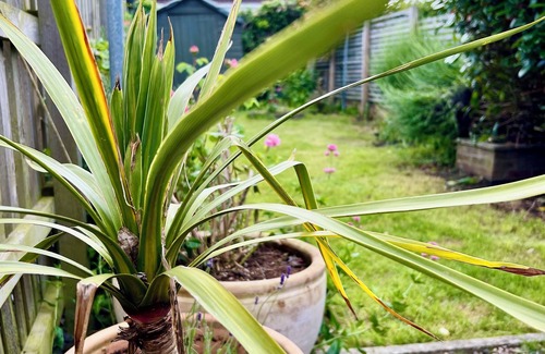 Edwinstowe Cottage | Unique Cosy Cottage In Sherwood Forest