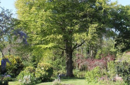South Milton House | Unique Thatched Retreat near Salcombe and Beaches