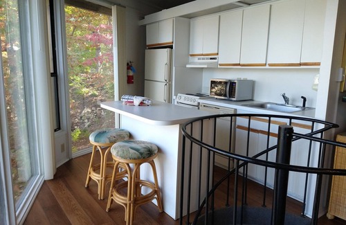 Village of Four Seasons House | UNIT 20 - TREETOP 2 BEDROOM VILLA