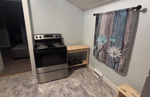 Wayne County Apartment | Upstairs 420 friendly lady aurora themed 1 bedroom apartment.