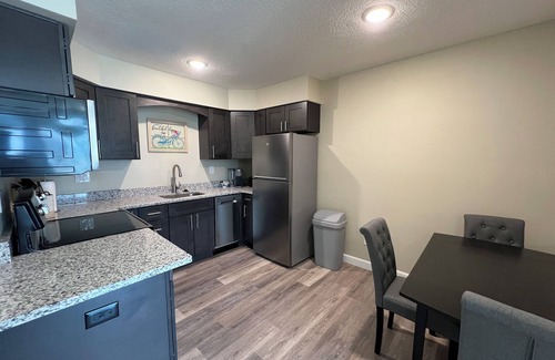 Lansing Apartment | Urban Comfort for Medical Travelers – Laundry in Unit + Full Kitchen - #3