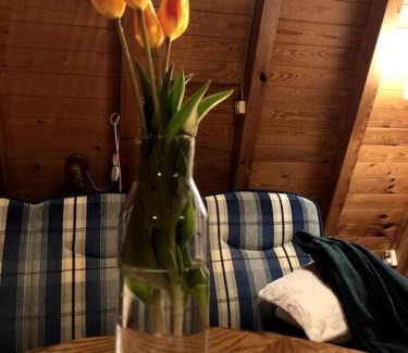 Suleczyno House | Uroczy domek Skibówka na Kaszubach
