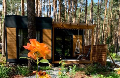 Radzymin House | Uroczy mały domek na leśnej działce - Łosiówka