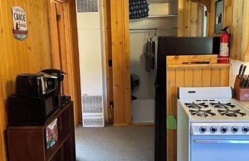 Ohio City Cabin | Ursa Miner - quiet, dark sky, 6 miles from Pitkin!