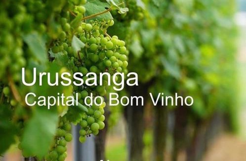 Centro Hotel | Urussanga Hotel