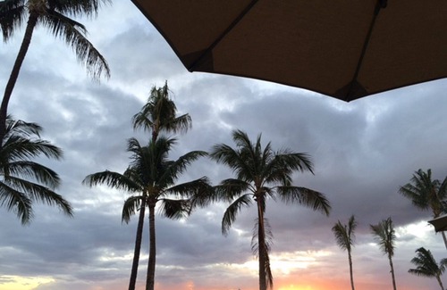 Mililani House | New Listing! Beautiful Newer Luxury Home Centrally Located