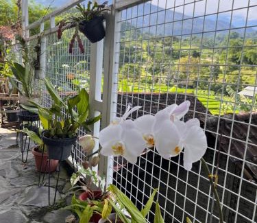 Pacet House | Uthe House