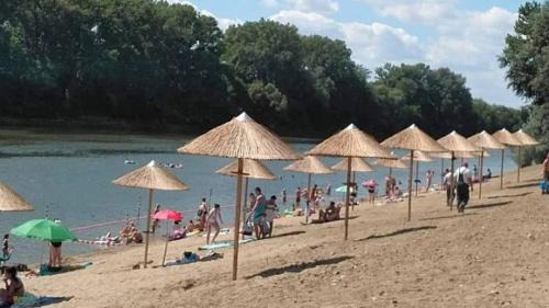 Mindszent Apartment | Vánkos Vendégház