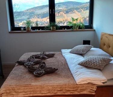 Rokytnice nad Jizerou House | Výhledovka chalet