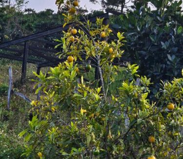 Bao Lam Other | Vườn An Nhiên - Bảo Lâm