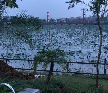 Thanh Thuy Apartment | Vườn Vua Bích Liên Wyndham 23