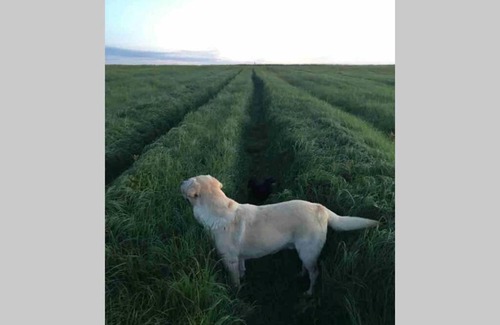 Pixley Ka Seme House | Vaalriet Chalet