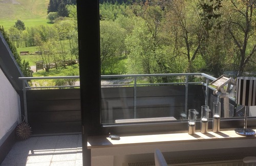 Usseln Condo | Vacation apartment Schamei with infrared fireplace, in the middle of nature