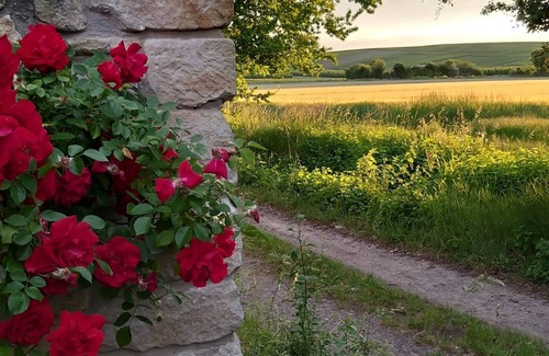 Flonheim Apartment | Vacation apartment/apartment for 4 guests with 26m² in Flonheim (156160)