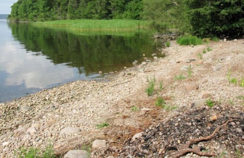 Vreta Kloster House | Vacation home Björkvik (OST062) in Vreta Kloster - 5 persons, 3 bedrooms