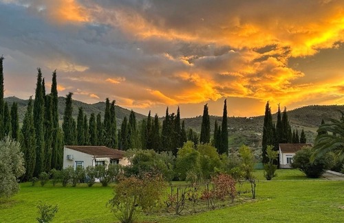 Olvera House | Vacation home for 2 guests with 30m² in Olvera (267494)