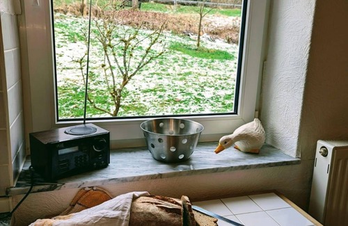 Schutz House | Vacation home Forellennest am Waldrand - 6-bed vacation home, 2x bath/WC, 3