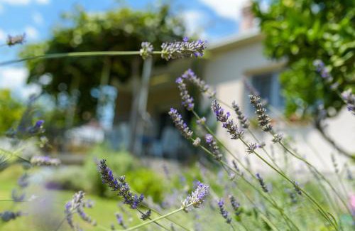 Kastel Stafilic House | Vacation House Bile